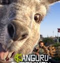 The Kangaroo Chronicles 2020