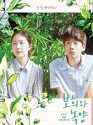A Boy and Sungreen 2019