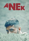 Anek 2022