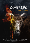 Cabrito 2020