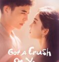 Drama China Got A Crush On You 2023