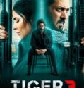Tiger 3 2023