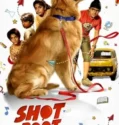 Shot Boot Three 2023