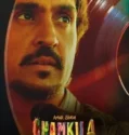 Amar Singh Chamkila (2024) Sub Indo