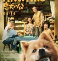 Hachiko (2023) Sub Indo