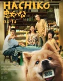 Hachiko (2023) Sub Indo