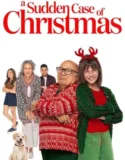 A Sudden Case of Christmas (2024)