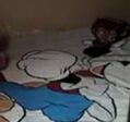 Om Mesum & Keponakan Binal Di Waktu Rumah Kosong
