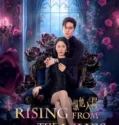 Drama China Rising from the Ashes (2025)