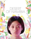 Desert of Namibia (2024)