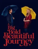 A Big Bold Beautiful Journey (2025)