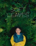 Soft Leaves (2025)